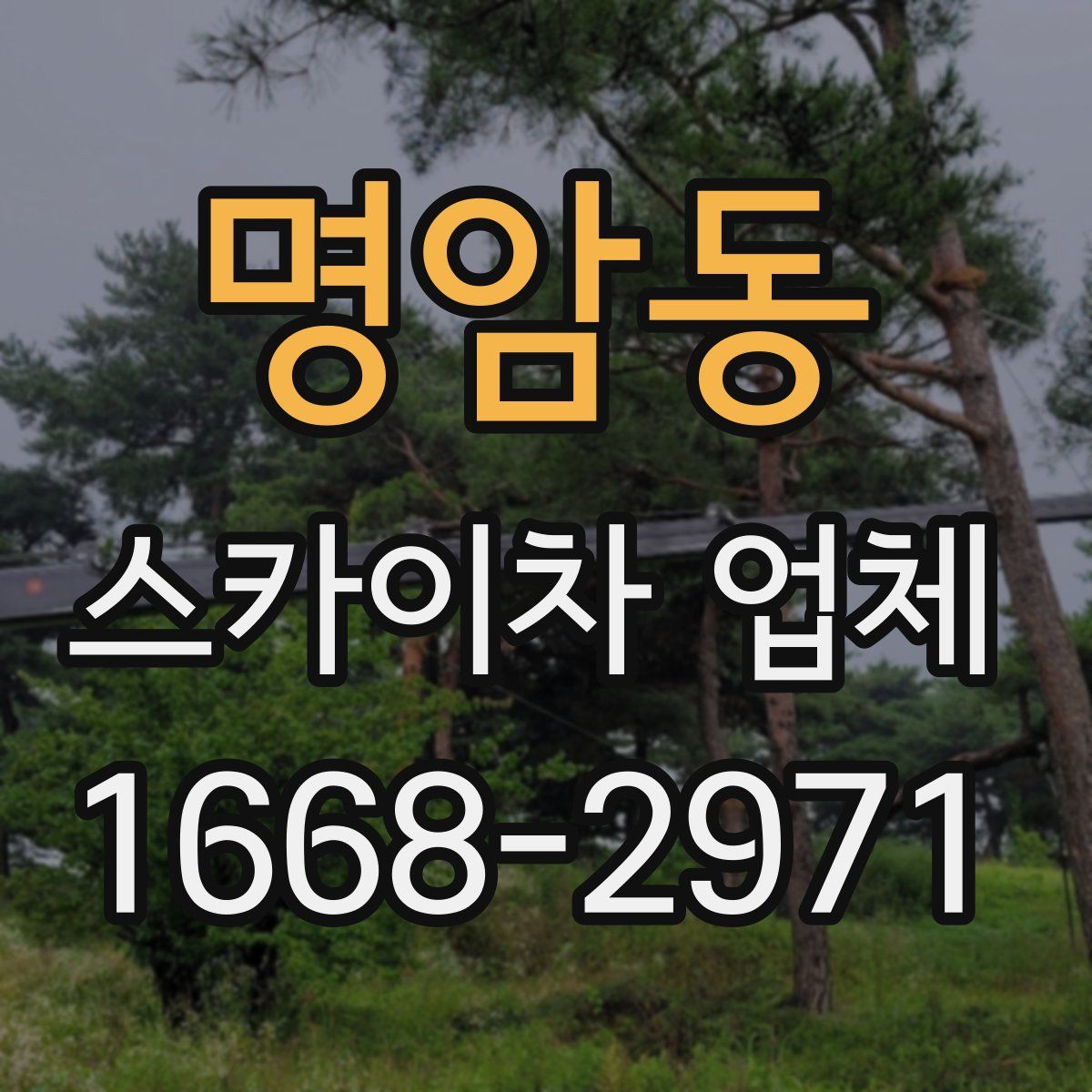 명암동 스카이차 업체