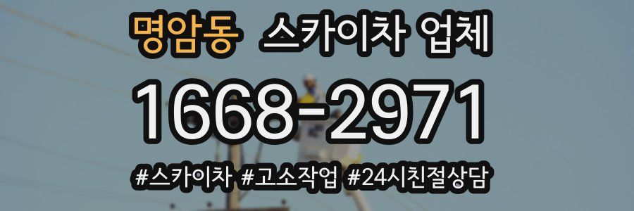 명암동 스카이차 업체
