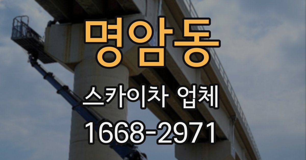 명암동 스카이차 업체