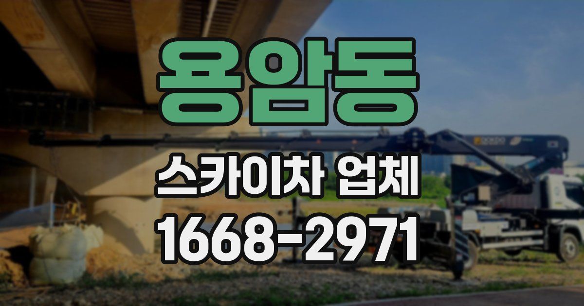 용암동 스카이차 업체