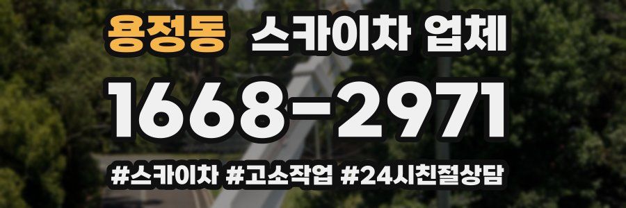 용정동 스카이차 업체