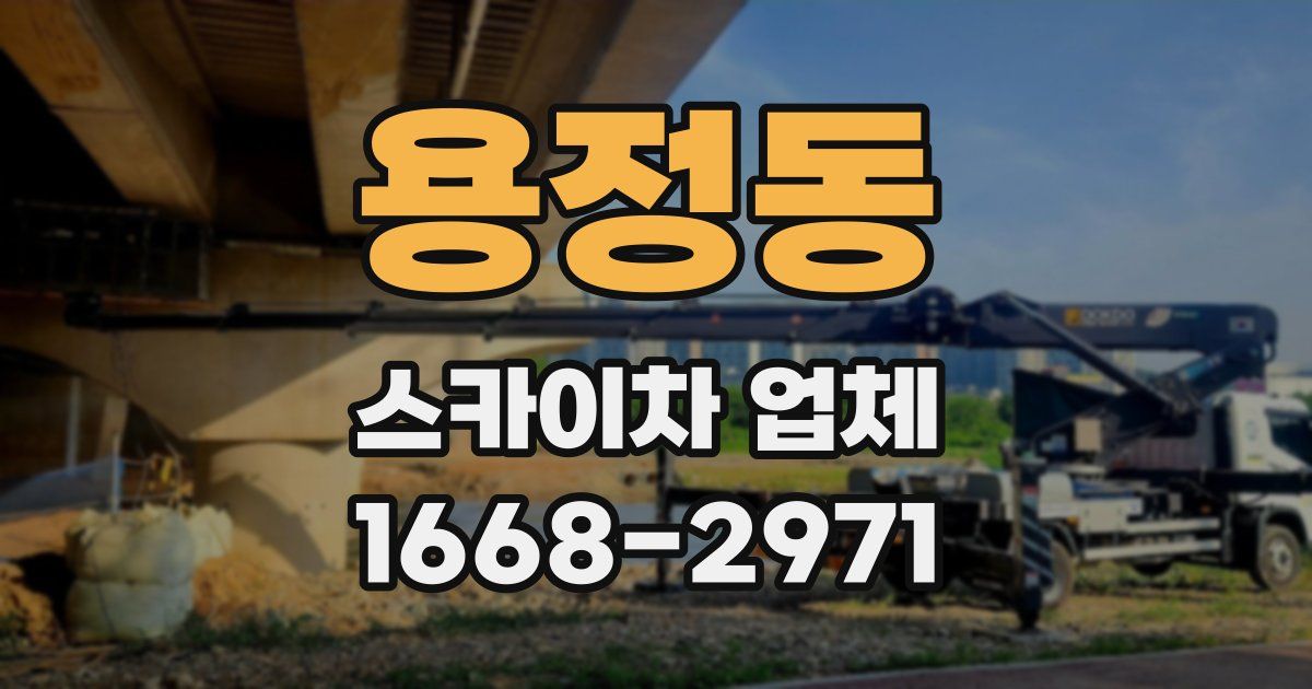 용정동 스카이차 업체