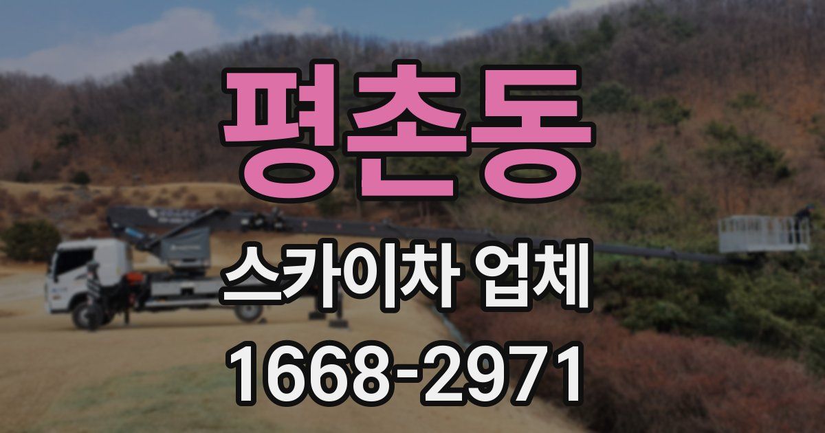 평촌동 스카이차 업체