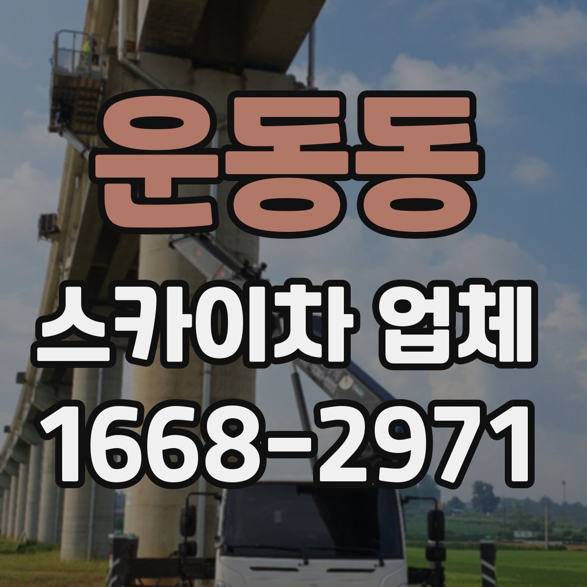 운동동 스카이차 업체