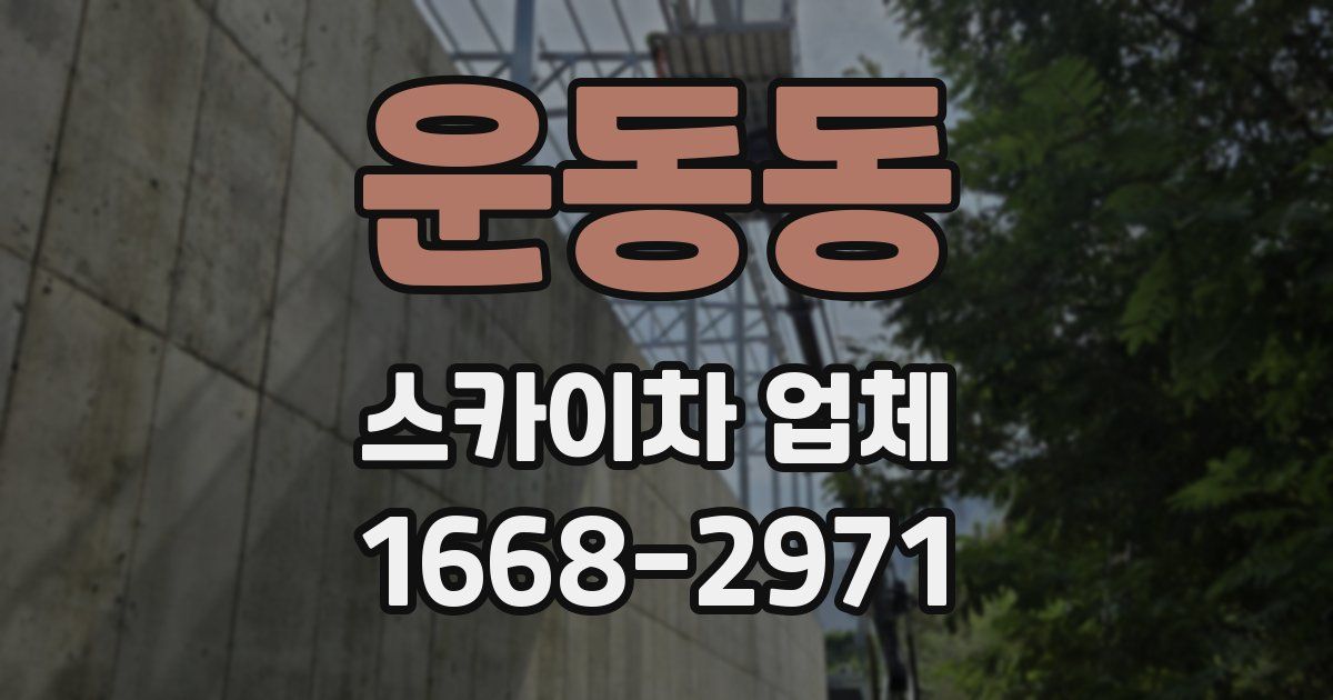 운동동 스카이차 업체