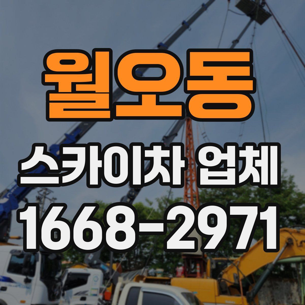 월오동 스카이차 업체