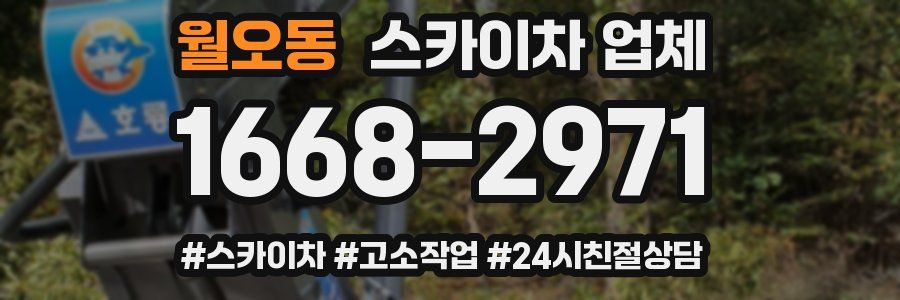 월오동 스카이차 업체