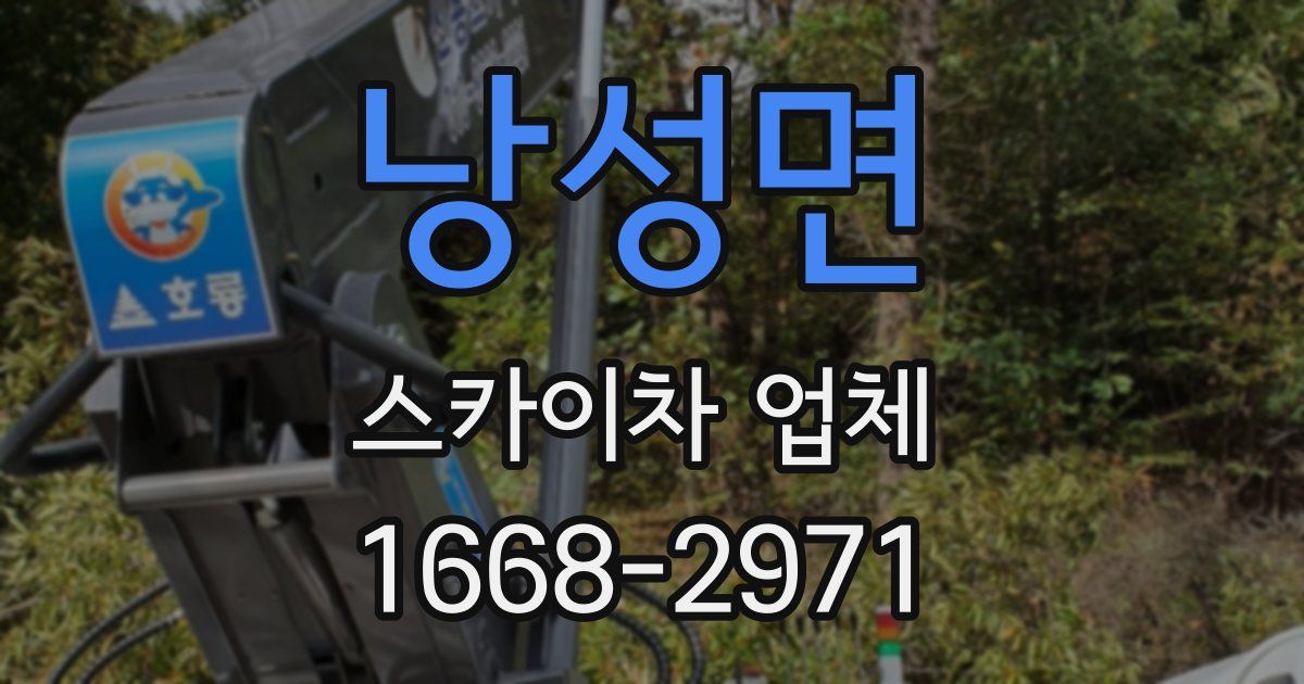 낭성면 스카이차 업체