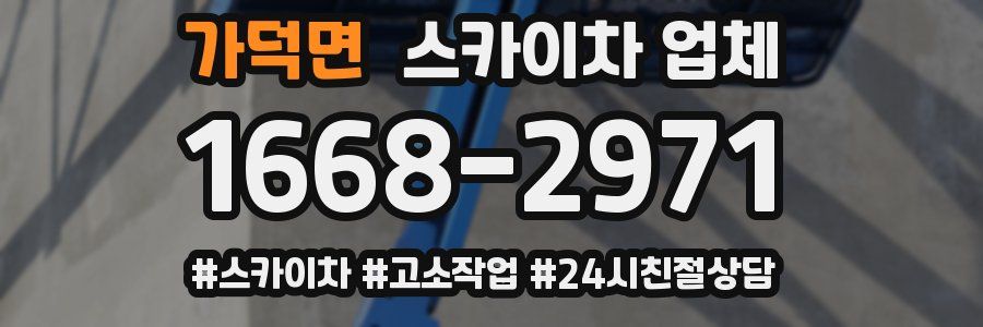 가덕면 스카이차 업체