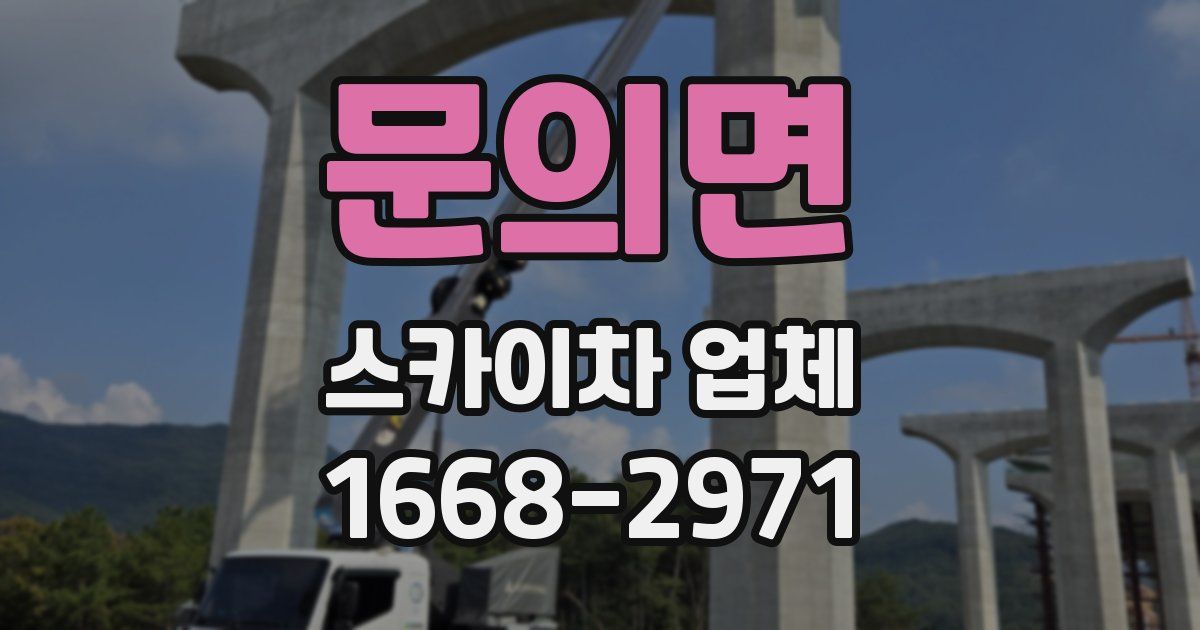 문의면 스카이차 업체