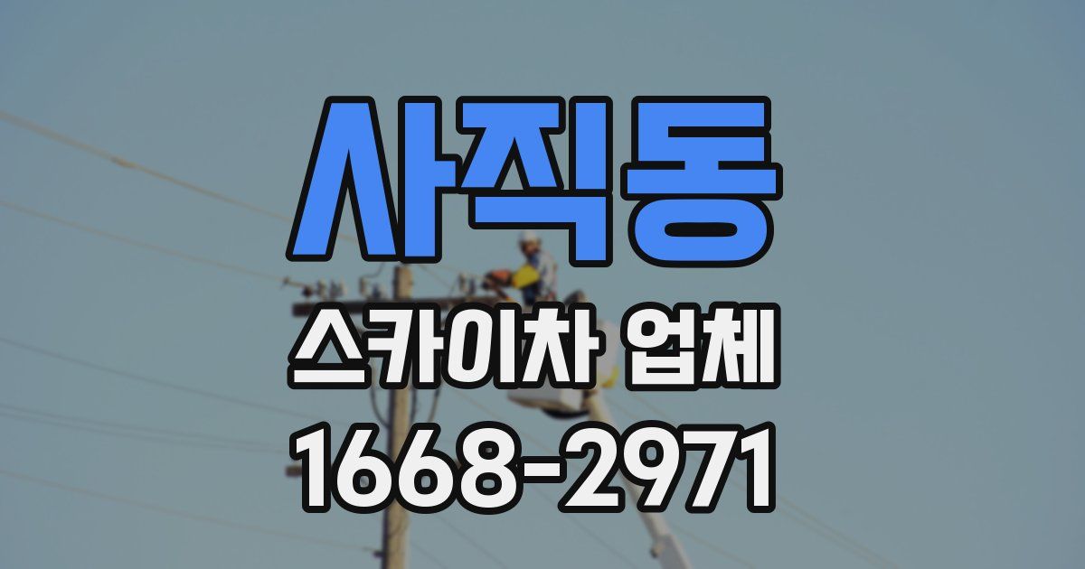사직동 스카이차 업체