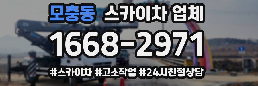 모충동 스카이차 업체