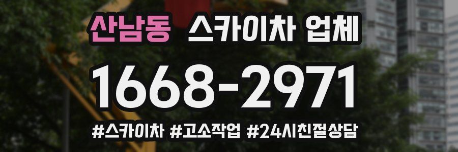 산남동 스카이차 업체