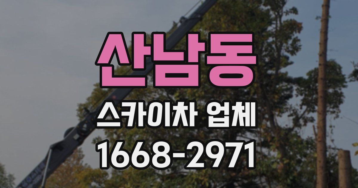 산남동 스카이차 업체