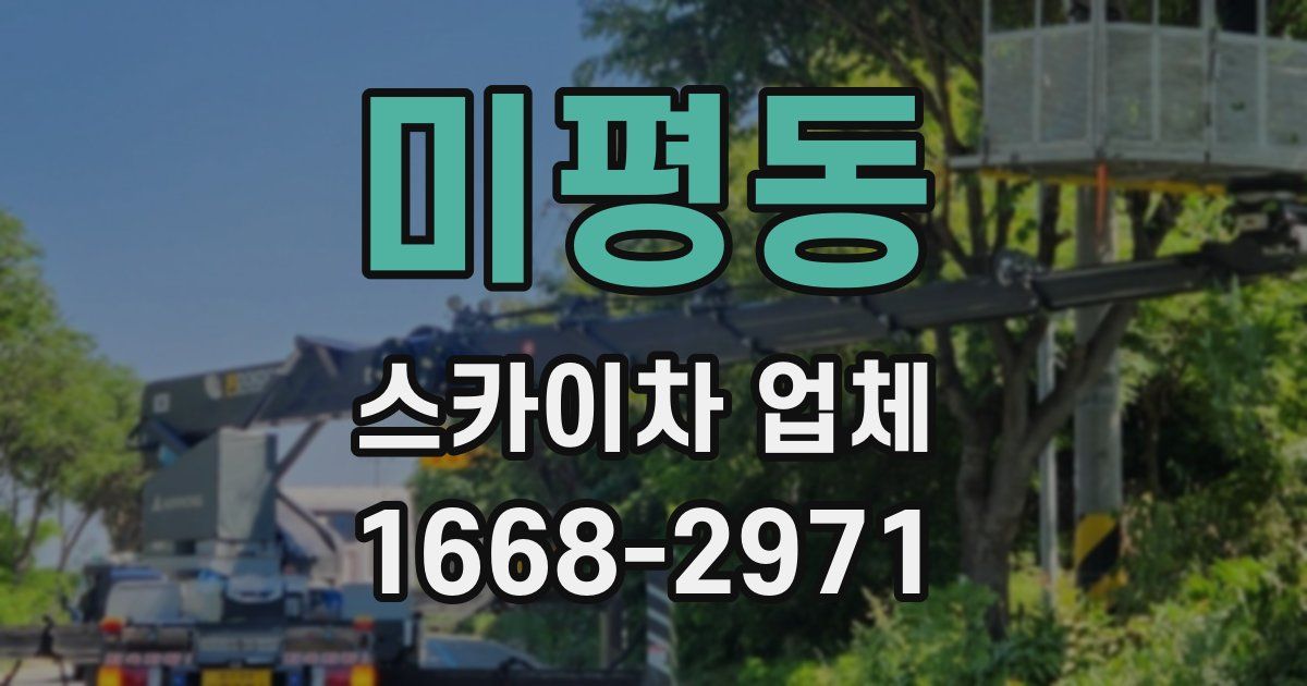미평동 스카이차 업체