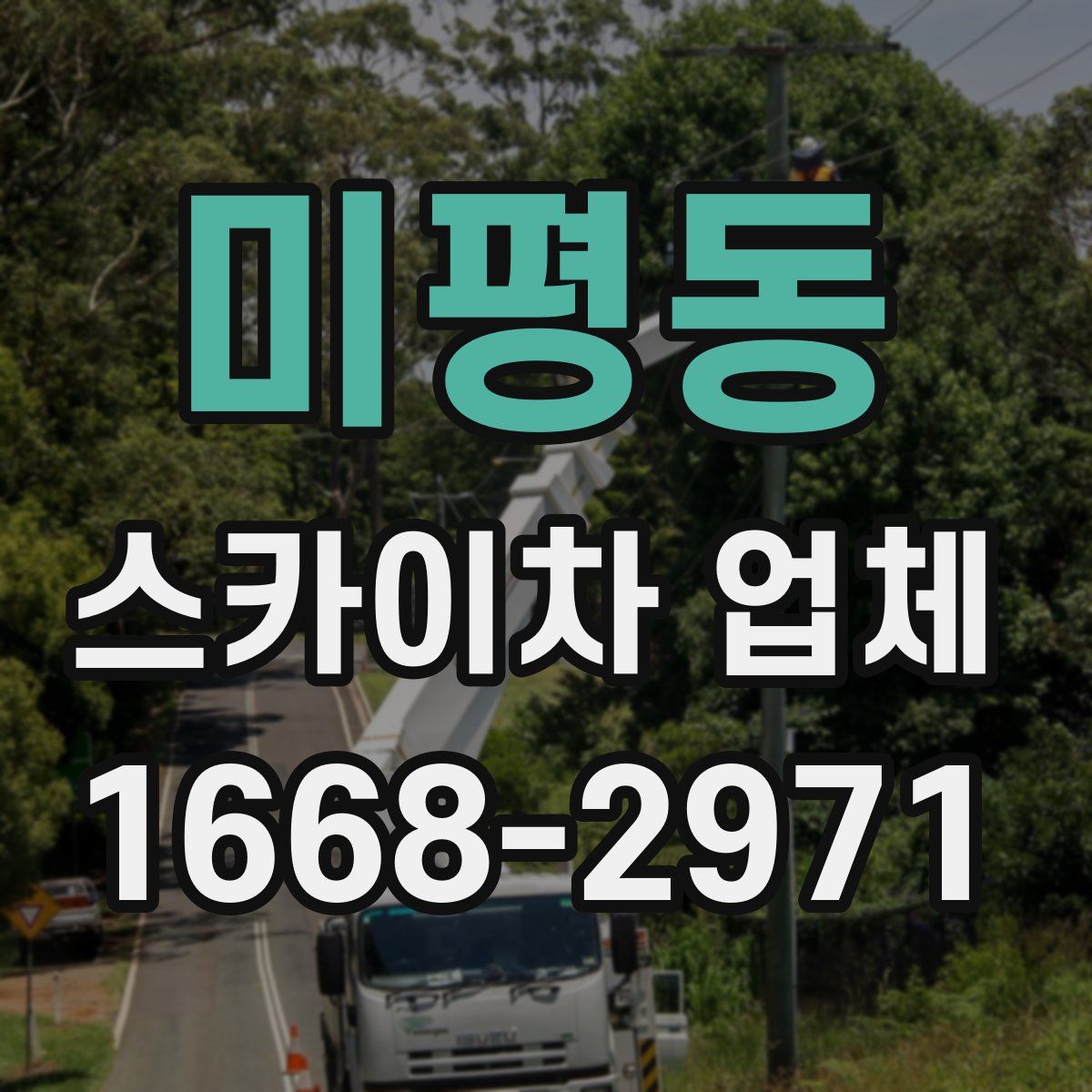 미평동 스카이차 업체