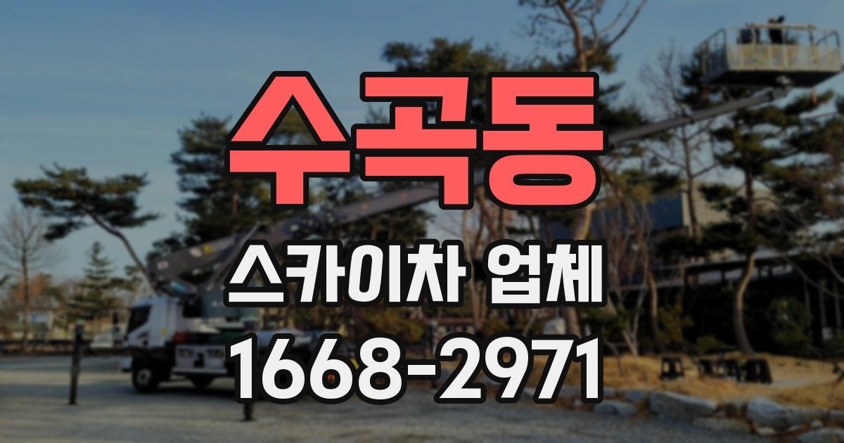 수곡동 스카이차 업체