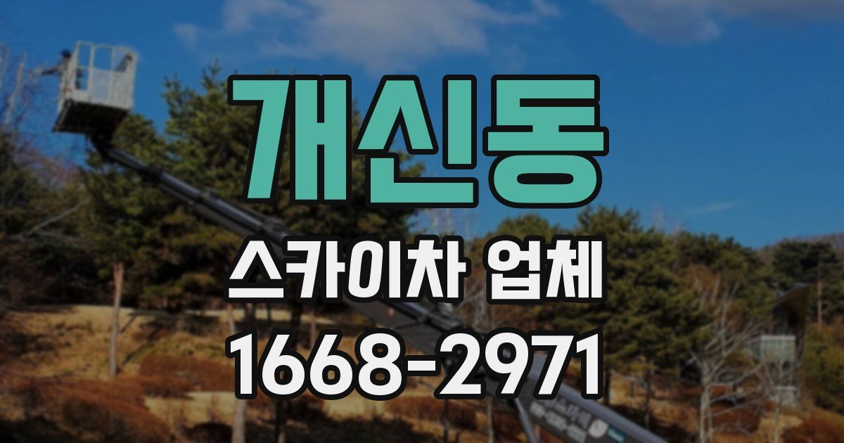 개신동 스카이차 업체