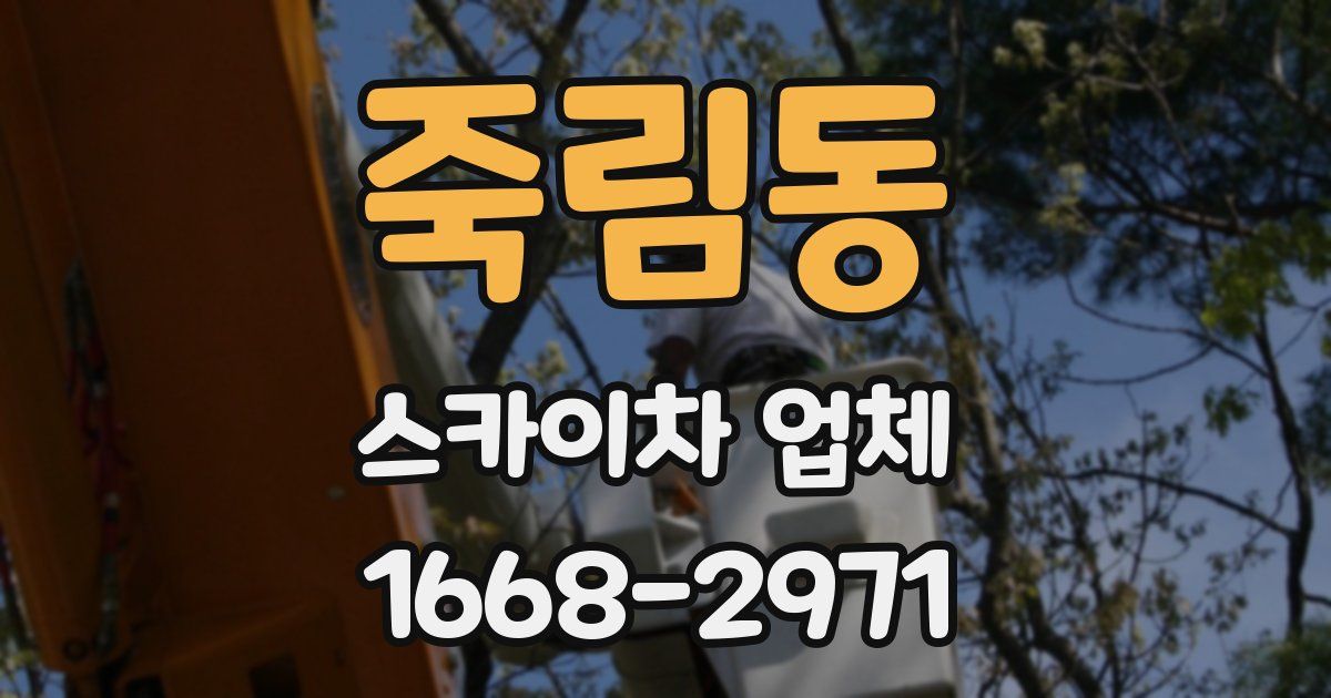 죽림동 스카이차 업체