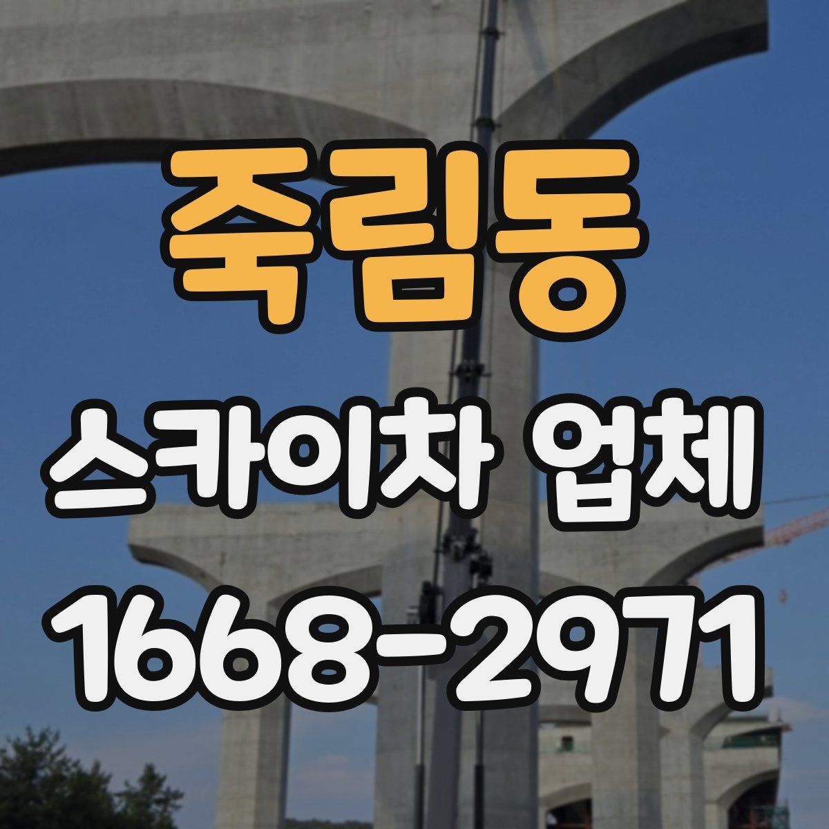 죽림동 스카이차 업체