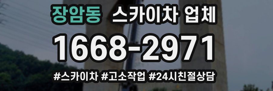 장암동 스카이차 업체