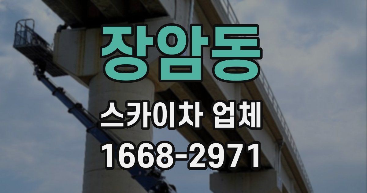 장암동 스카이차 업체