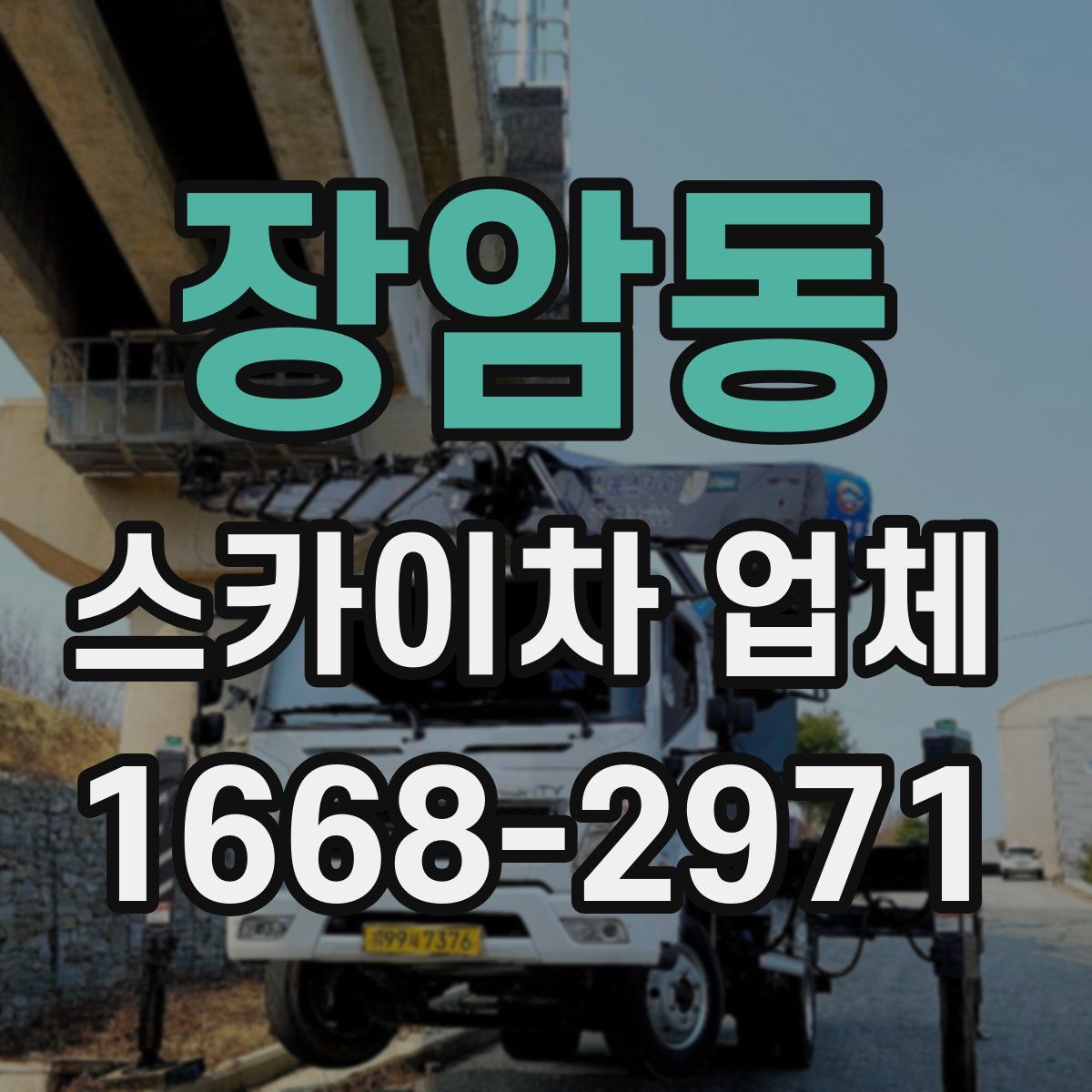 장암동 스카이차 업체