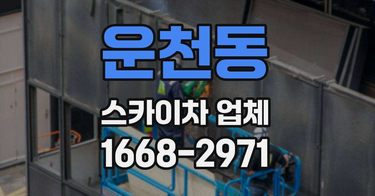 운천동 스카이차 업체