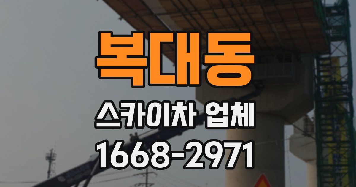 복대동 스카이차 업체