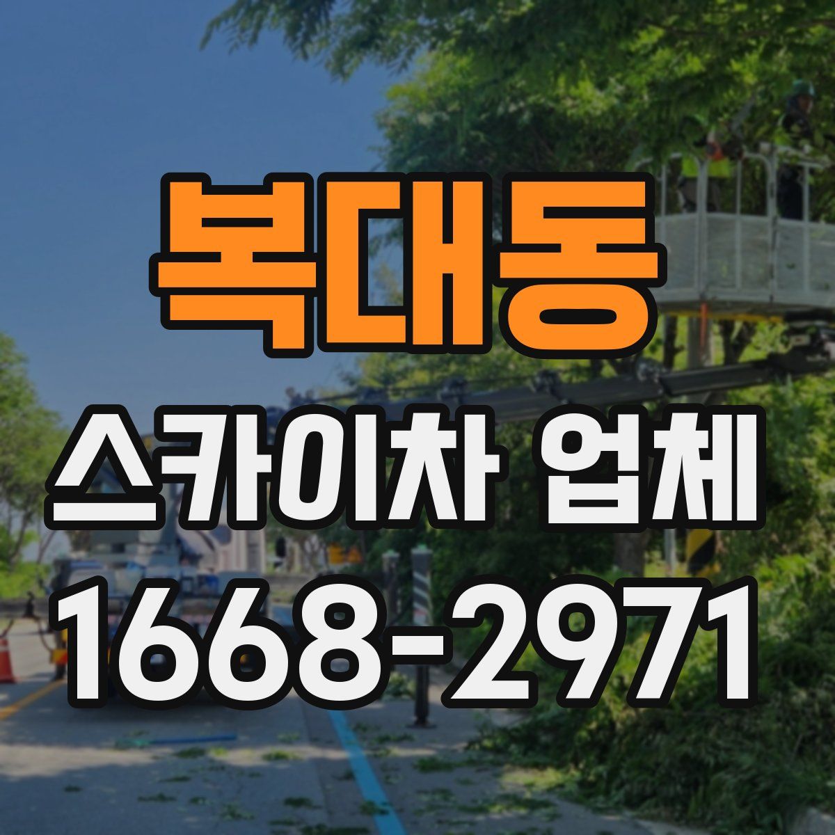 복대동 스카이차 업체