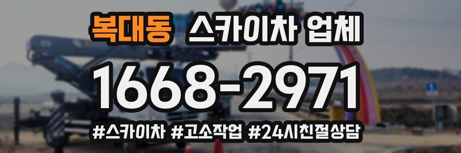 복대동 스카이차 업체