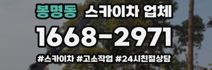 봉명동 스카이차 업체