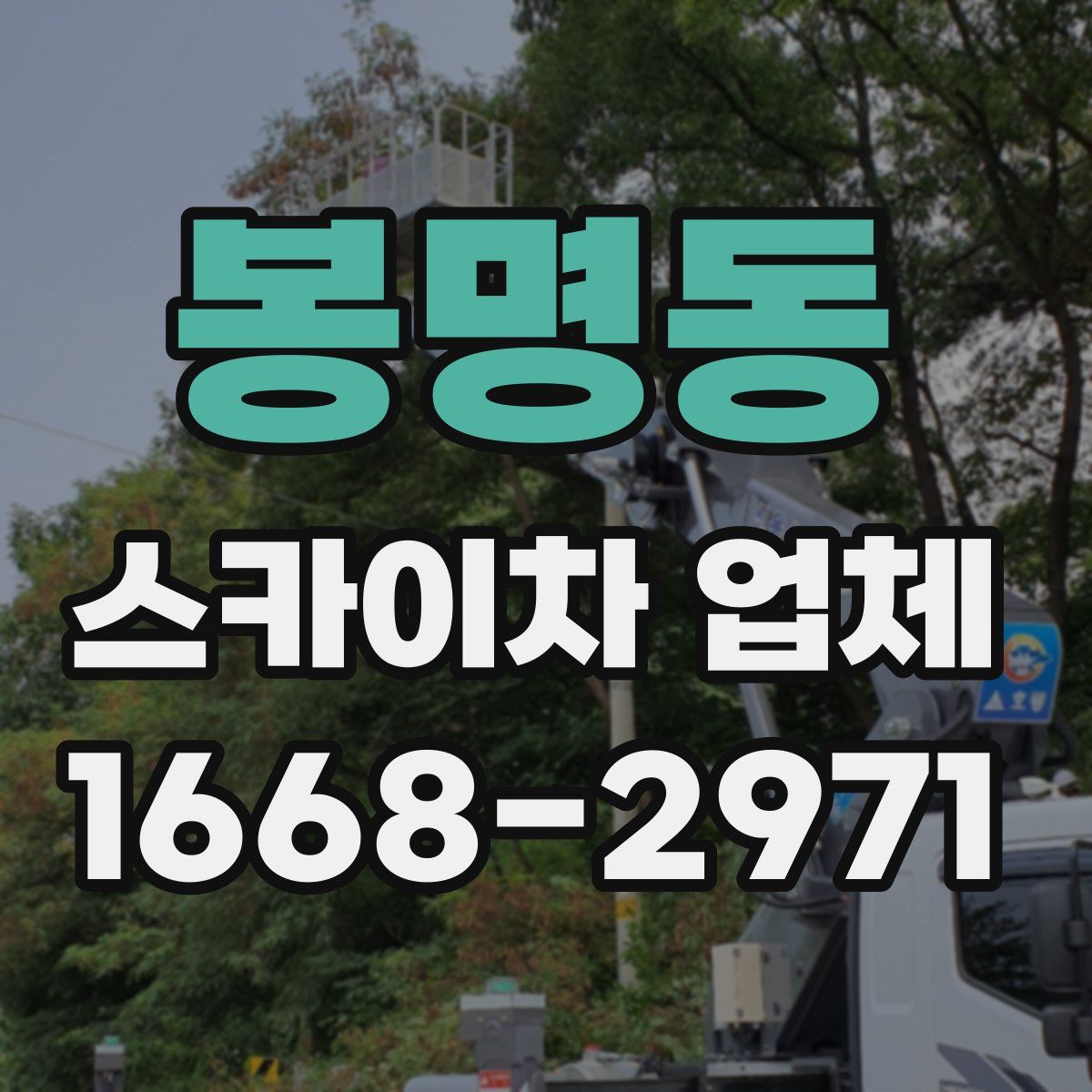 봉명동 스카이차 업체