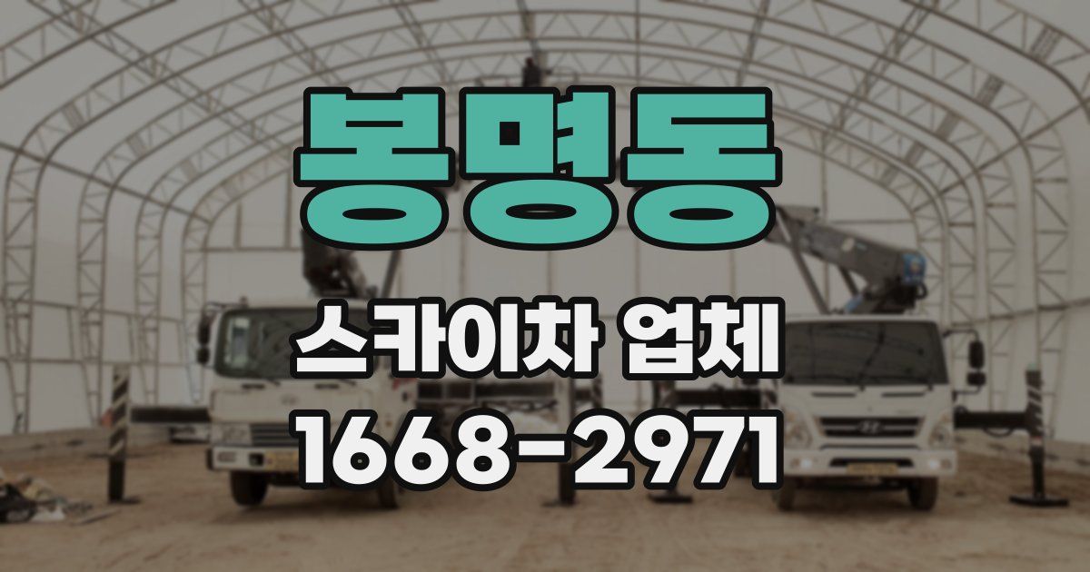 봉명동 스카이차 업체