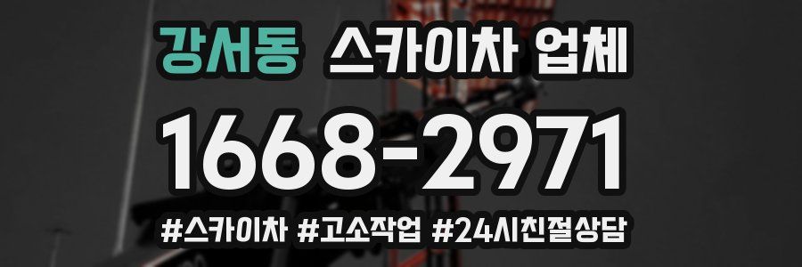 강서동 스카이차 업체