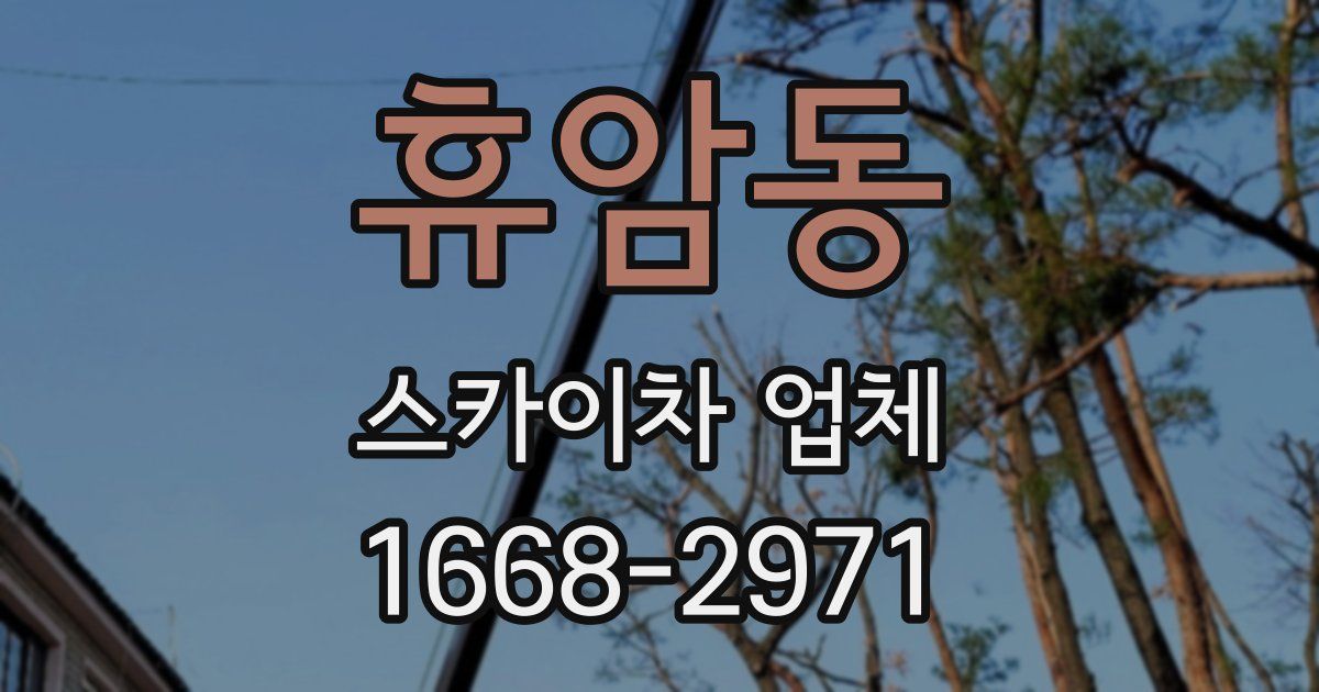 휴암동 스카이차 업체