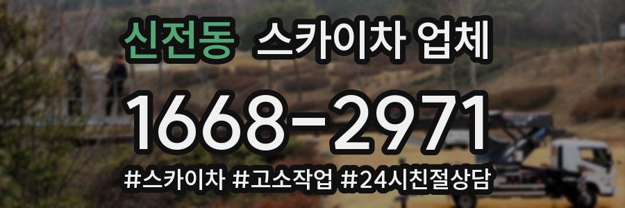 신전동 스카이차 업체
