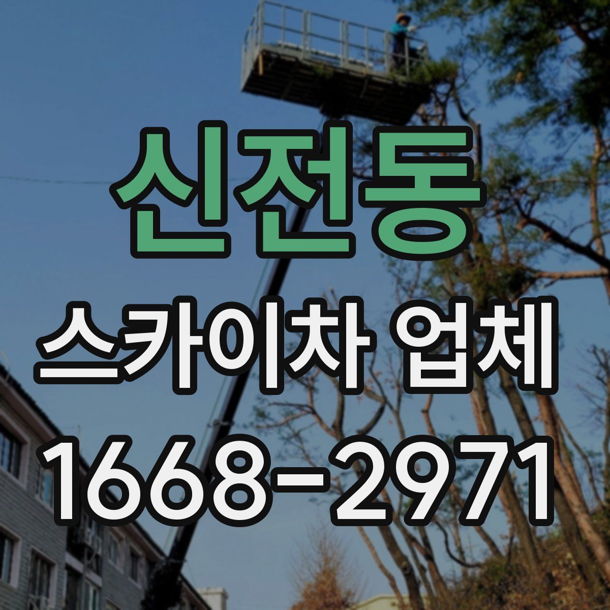 신전동 스카이차 업체