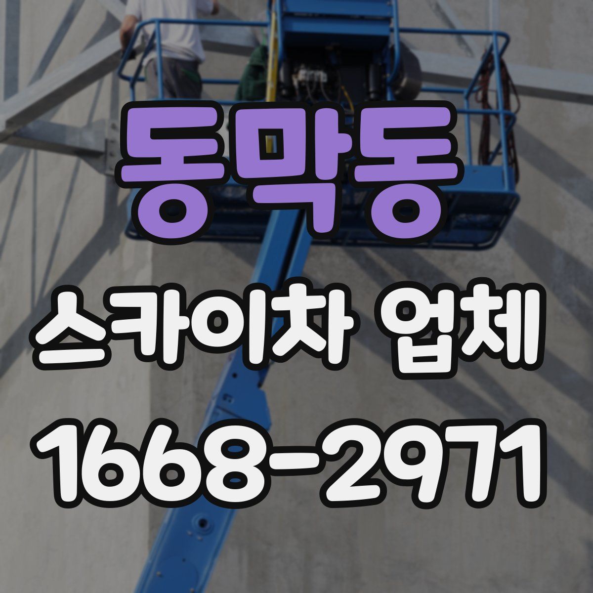 동막동 스카이차 업체