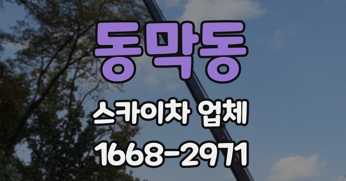 동막동 스카이차 업체
