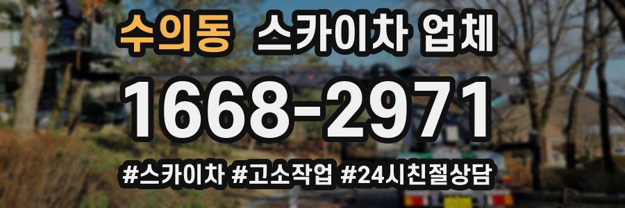 수의동 스카이차 업체