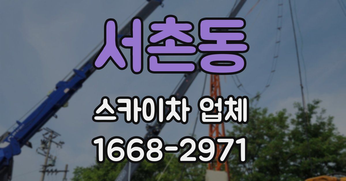 서촌동 스카이차 업체