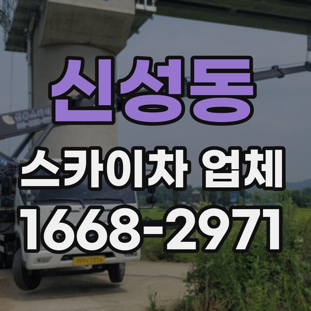 신성동 스카이차 업체