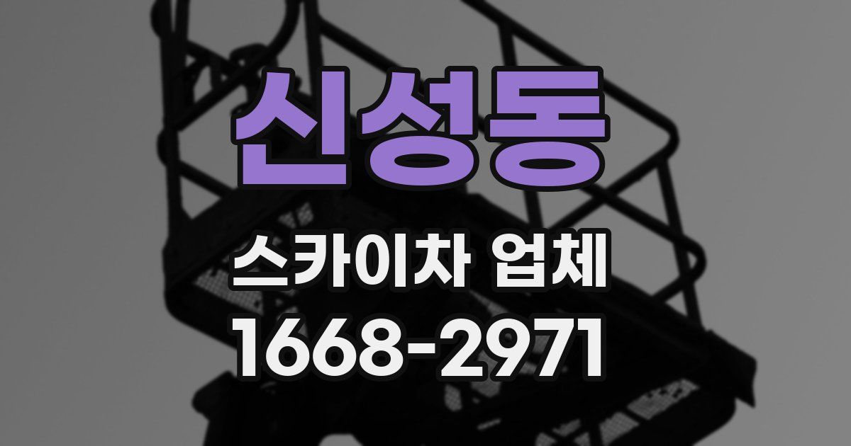 신성동 스카이차 업체