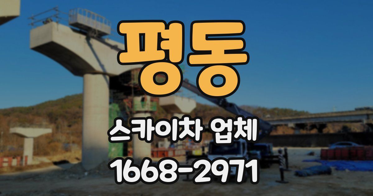 평동 스카이차 업체