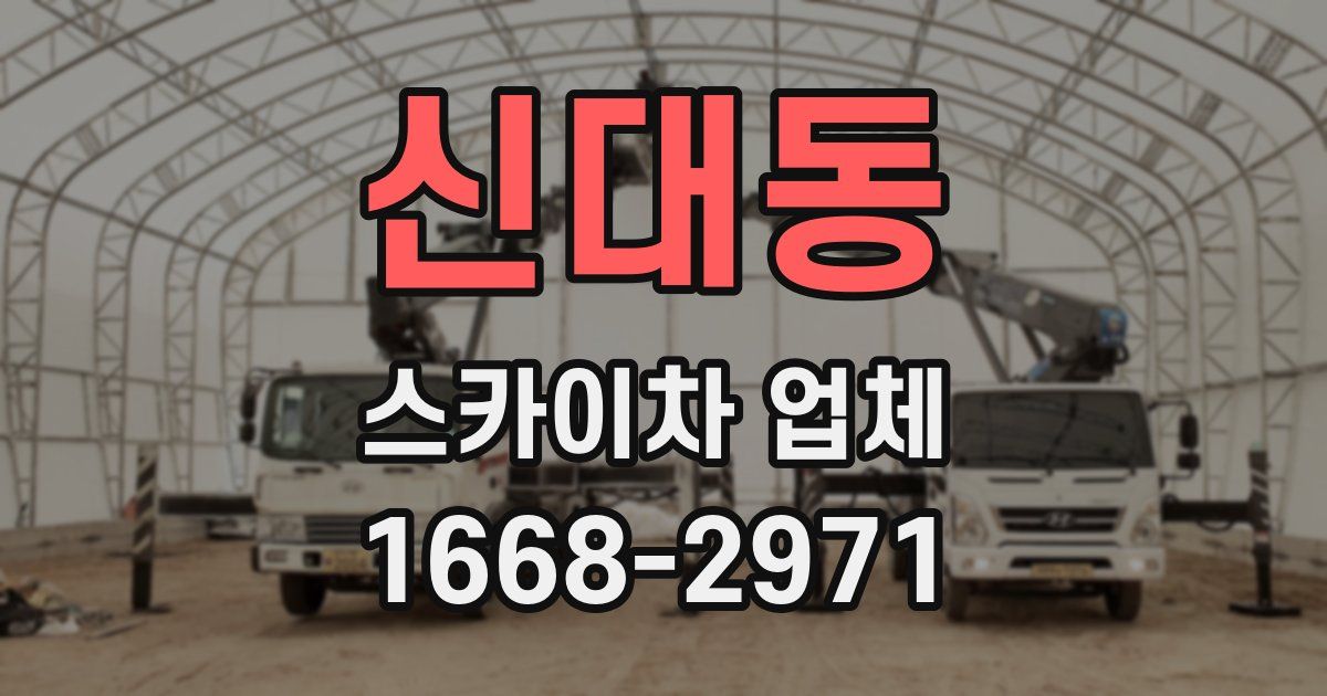 신대동 스카이차 업체