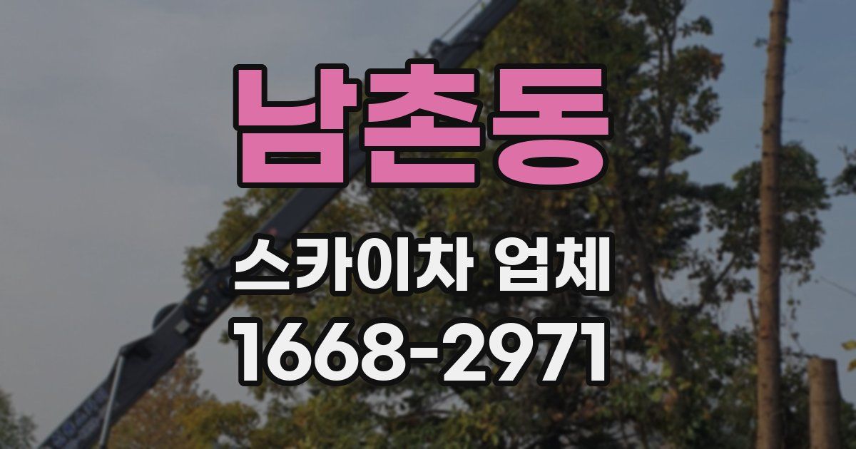 남촌동 스카이차 업체