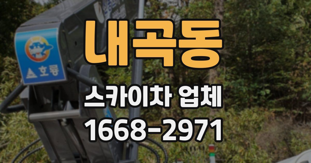 내곡동 스카이차 업체