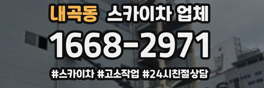 내곡동 스카이차 업체