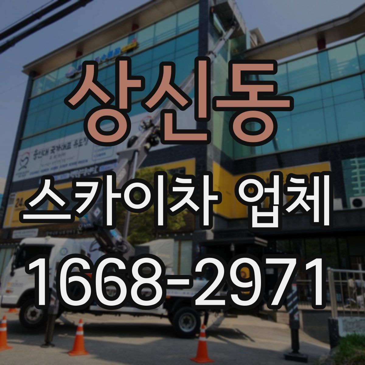 상신동 스카이차 업체